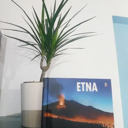 Semesterbostad The House